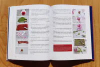 Krása z papíru - Image 7