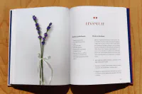 Krása z papíru - Image 8