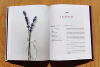 Krása z papíru - Image 8