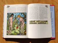 Lékař léčí, příroda uzdravuje - Image 6