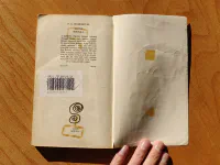 Letní bouřka - Image 8