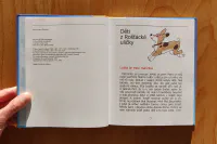 Lotta z Rošťácké uličky - Image 4