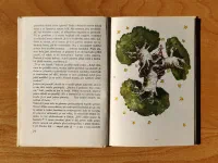 Malý princ - Image 4