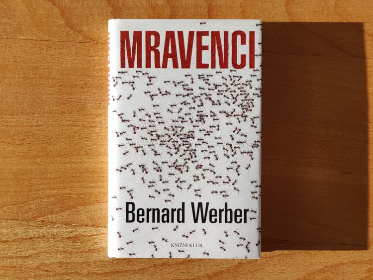 Mravenci