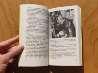 Nápady svaté Kláry - Image 4