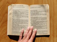 Neuropolitika - Image 5