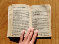 Neuropolitika - Image 5