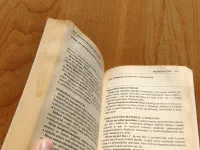 Neuropolitika - Image 6