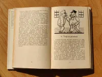 Osudy dobrého vojáka Švejka za světové války - Image 6