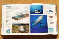 Ottova obrazová encyklopedie - Země - Image 8