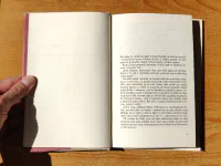 Paní Bovaryová - Image 3