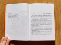 Paní Láryfáry - Image 3