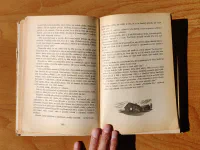 Podivuhodná cesta Nilse Holgerssona Švédskem - Image 3