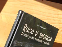 Ruce v mouce - Image 3