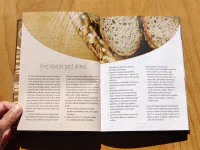 Ruce v mouce - Image 4