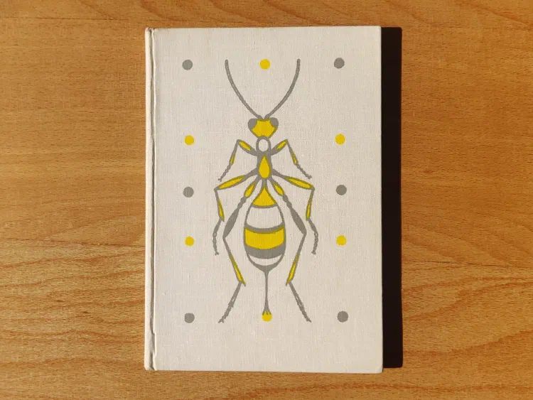 Šestinozí bohatýři