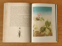 Šestinozí bohatýři - Image 4