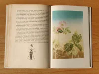 Šestinozí bohatýři - Image 4