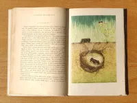 Šestinozí bohatýři - Image 5