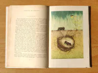 Šestinozí bohatýři - Image 5