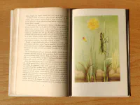 Šestinozí bohatýři - Image 6