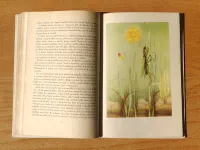 Šestinozí bohatýři - Image 6