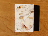 Sexus. Plexus. Nexus - Image 2