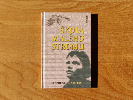 Škola malého stromu