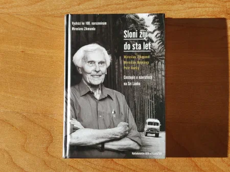 Sloni žijí do sta let