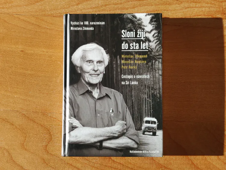 Sloni žijí do sta let