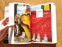 Sloni žijí do sta let - Image 3