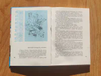 Slovácko sa sudí aj nesúdí - Image 4