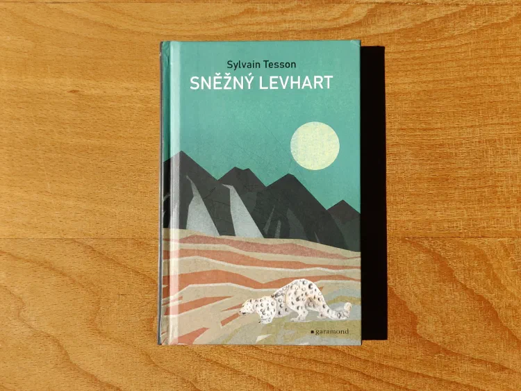 Sněžný levhart