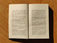 Stepní vlk - Image 4