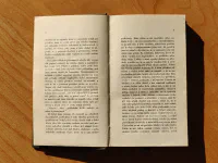 Stepní vlk - Image 4