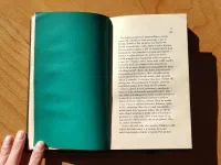 Stepní vlk - Image 5