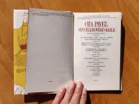 Syn celerového krále - Image 2