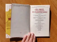 Syn celerového krále - Image 2