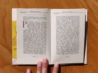 Syn celerového krále - Image 3