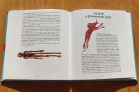 Tatínek není k zahození - Image 6