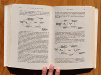 The Fifth Discipline - Image 3