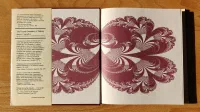 The Fractal Geometry of Nature - Image 2