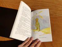 The Little Prince - Image 3