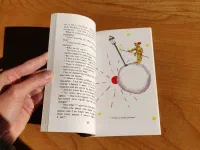 The Little Prince - Image 4