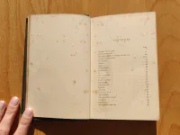 The Poetical Works of Edgar Allan Poe, vzácné rané vydání, c. 1865 - Image 13