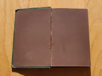 The Poetical Works of Edgar Allan Poe, vzácné rané vydání, c. 1865 - Image 14