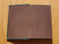 The Poetical Works of Edgar Allan Poe, vzácné rané vydání, c. 1865 - Image 14