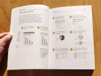 The Wall Street Journal Guide to Information Graphics - Image 3