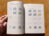 The Wall Street Journal Guide to Information Graphics - Image 6