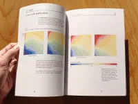 The Wall Street Journal Guide to Information Graphics - Image 8